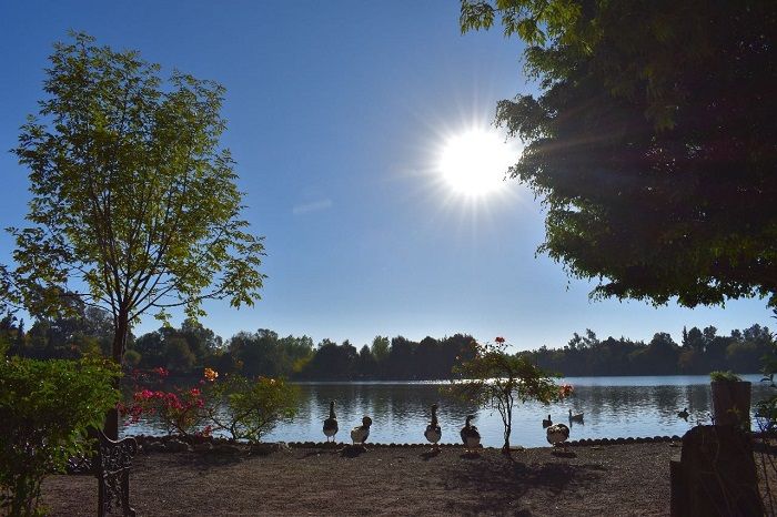 Los mejores parques en Puebla para visitar