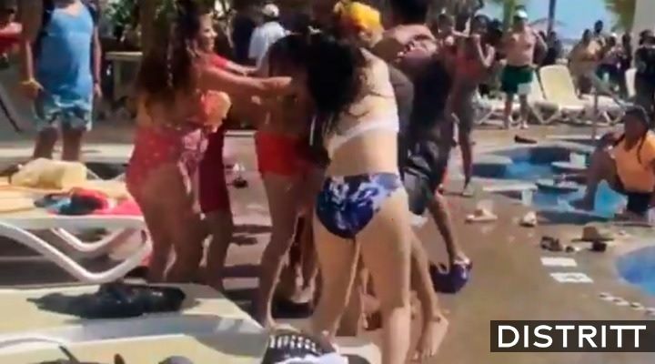 Mazatlán. Pelea campal entre turistas se hace viral