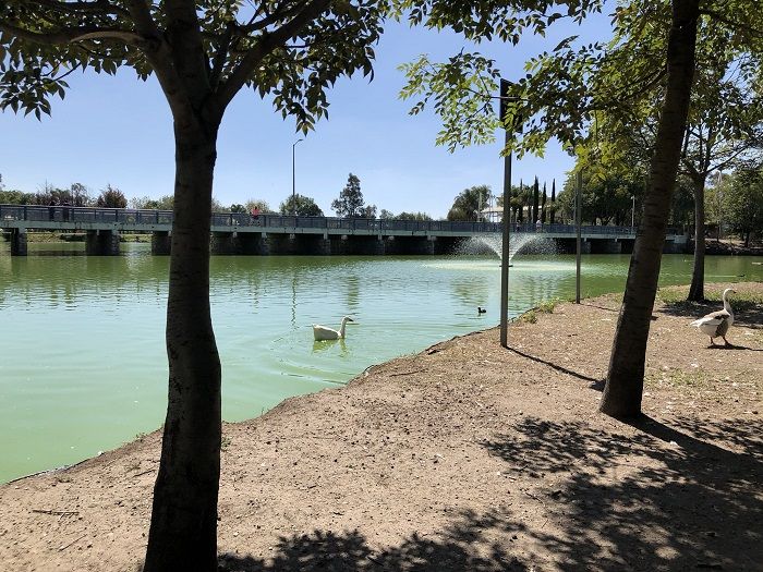 ¿Qué parques visitar en Puebla?