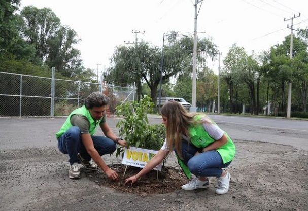 ¿Cuánto pagó el Partido Verde a influencers?