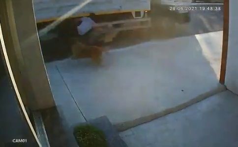 ¿Qué pasó con el hombre atropellado?