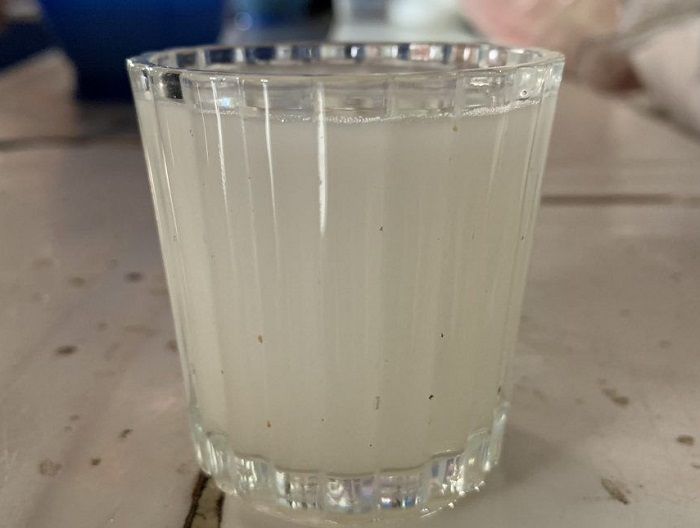 Ponche de Pulque