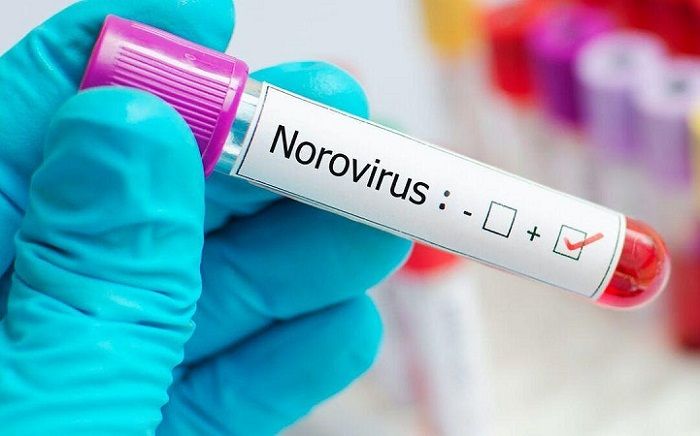 Norovirus. Qué es, cuáles son los síntomas y cómo prevenirlo 