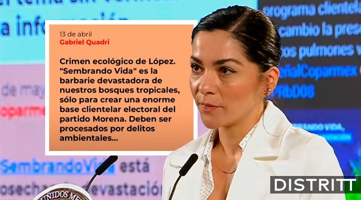 Quién es quién en las mentiras de la semana: las fake news sobre Sembrando Vida y Birmex