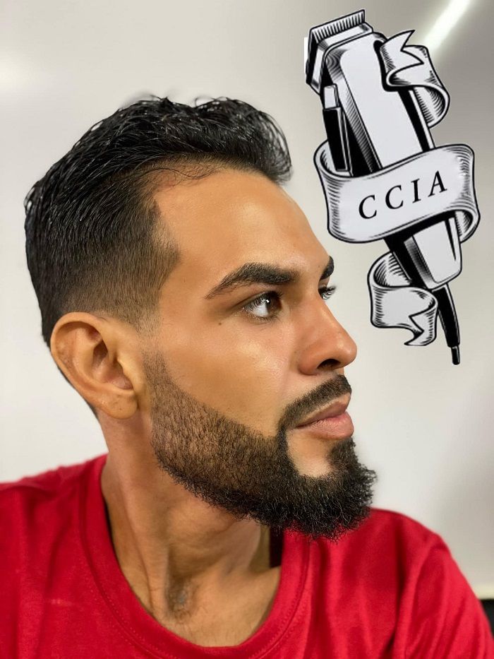 . Deje en blanco si la imagen es puramente decorativa.