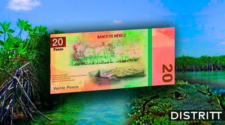 Nuevos billetes de 20 y 50 pesos. ¿Cómo son y cuándo salen?