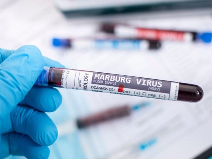 ¿Cómo se transmite el virus de Marburgo?