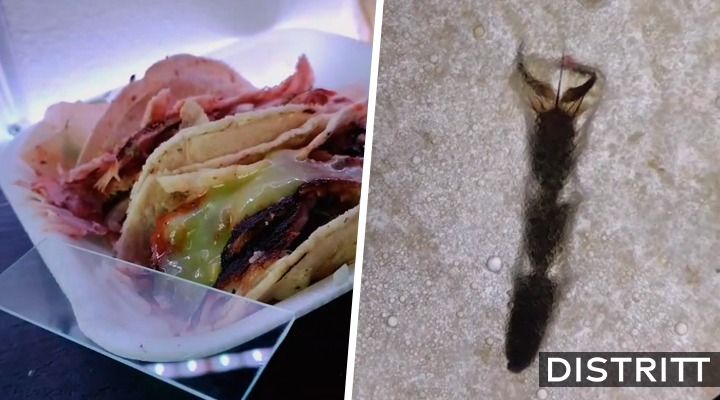 Analiza tacos callejeros con microscopio; se viraliza |VIDEO