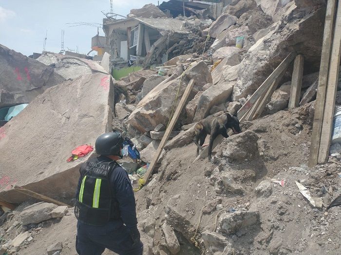 Hallan cuerpos de Paola y Dylan en Cerro del Chiquihuite