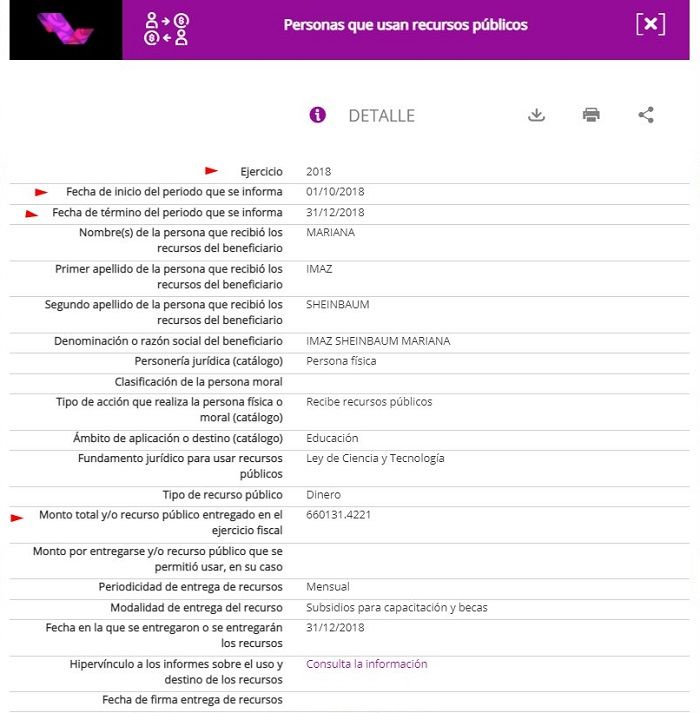 ¿Qué tiene que ver Mariana Imaz Sheinbaum con el Conacyt?