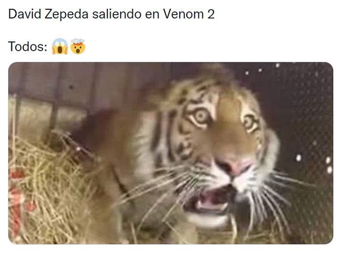 David Zepeda. Los memes de su escena en Venom 2 