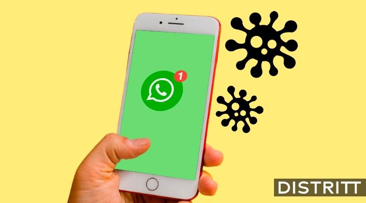 WhatsApp. Alertan sobre correo electrónico para robar datos