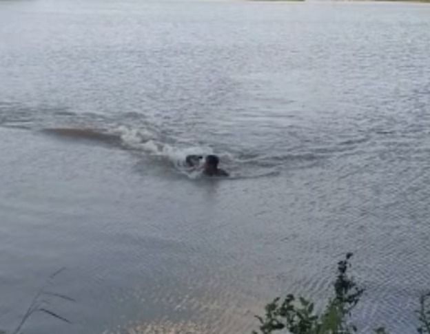 Captan momento que caimán ataca a hombre en un lago |VIDEO