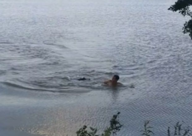 Captan momento que caimán ataca a hombre en un lago |VIDEO