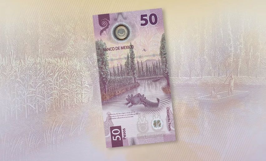 Características del nuevo billete de 50 pesos