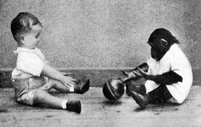 Donald Kellogg y su crianza al lado de Gua