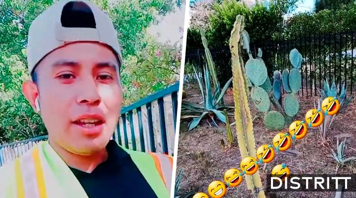 Video. Extranjero insulta a mexicanos por comer nopales