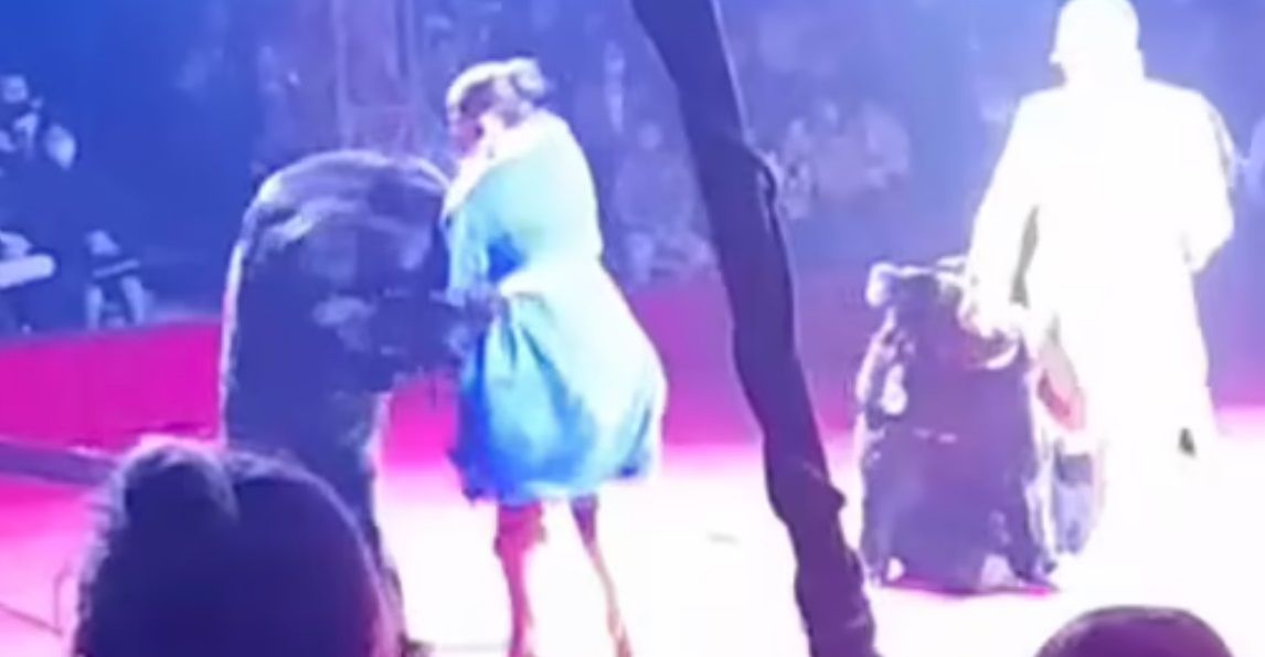 Oso ataca a embarazada en plena función de circo |VIDEO 