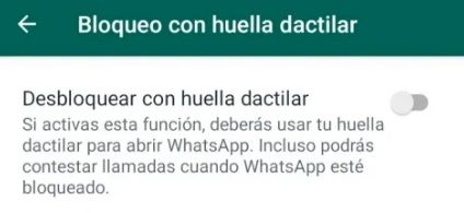 WhatsApp. ¿Cómo ponerles contraseña a los chats?