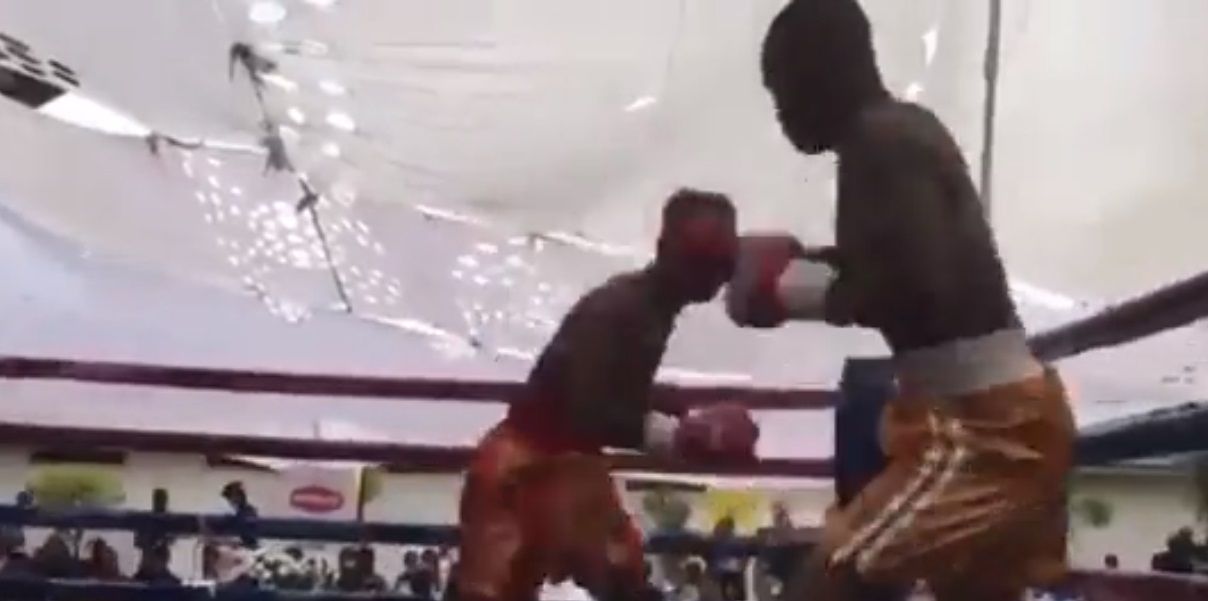 Taurai Zimunya. Muere boxeador de 24 años tras nocaut |VIDEO