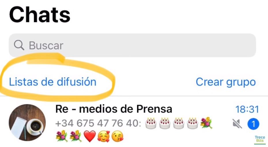 Pasos para iOS