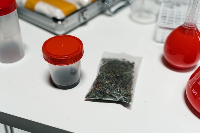 ¿Qué es el THC encontrado en el cuerpo de Octavio Ocaña?
