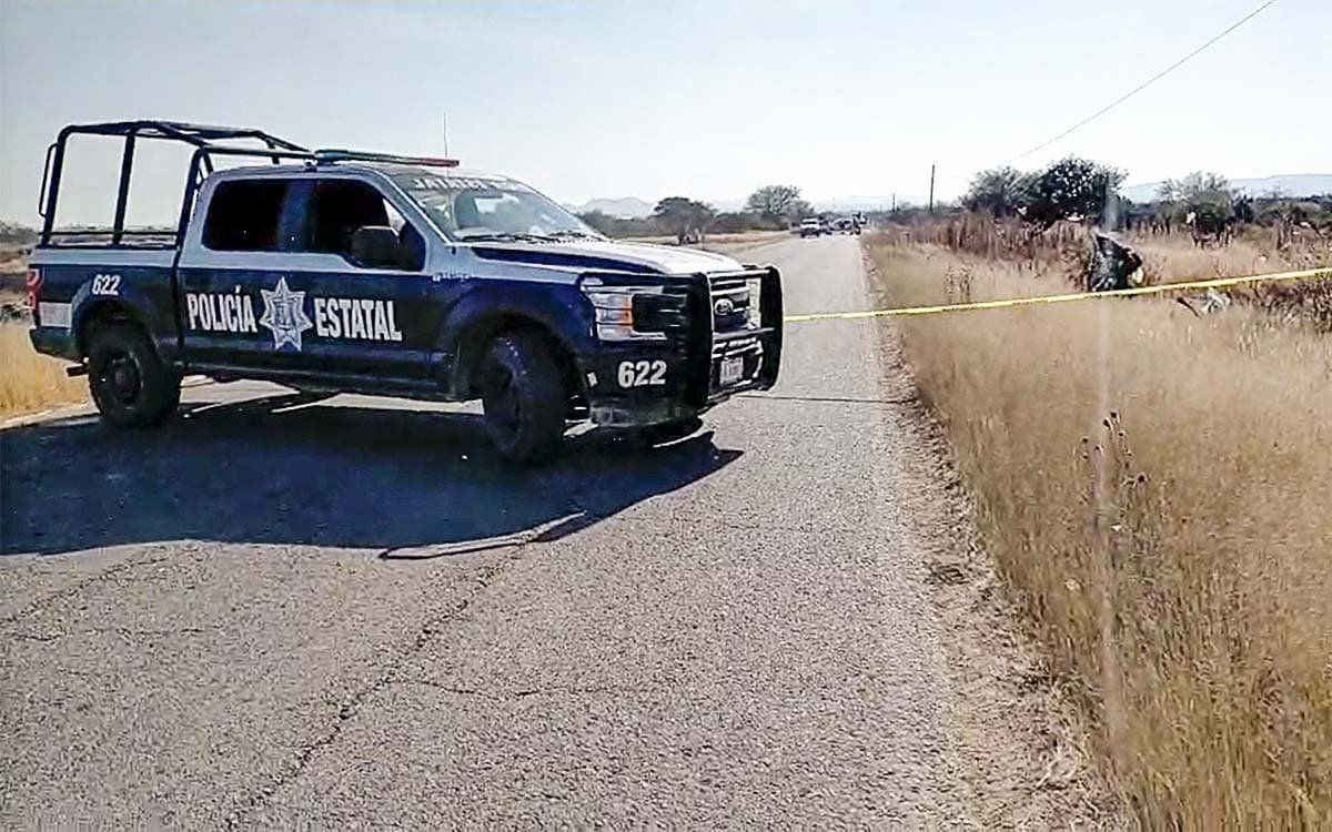 zacatecas-hallan-ocho-cuerpos-colgados-fresnillo-fotos