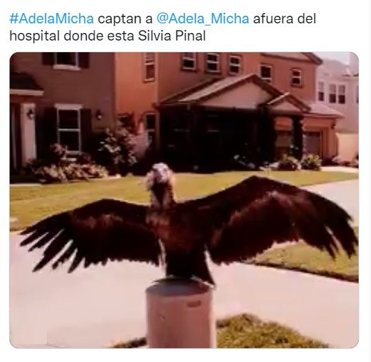 Memes Silvia Pinal
