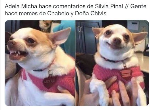 Memes de Adela Micha