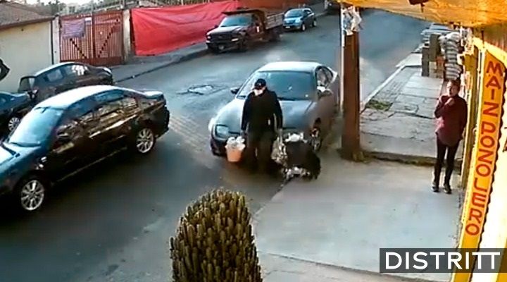 CDMX. Conductor atropella a peatón en Tlalpan