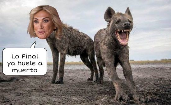 Adela Micha memes Silvia Pinal