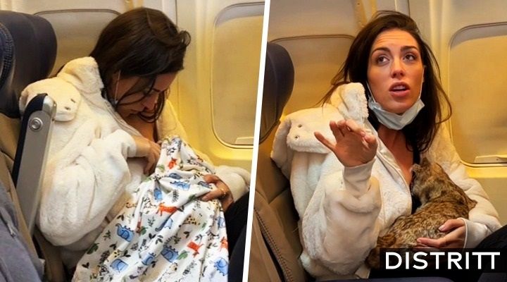 Mujer amamanta a su gato en vuelo; video se hace viral