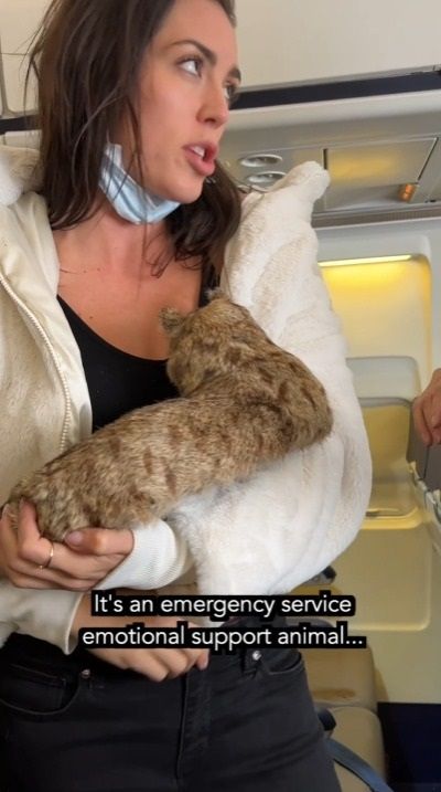 Video de mujer que amamanta a su gato en vuelo