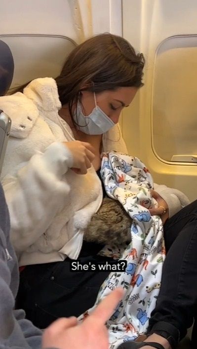 Video de mujer que amamanta a su gato en vuelo