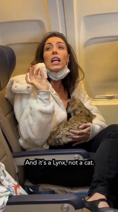 Video de mujer que amamanta a su gato en vuelo