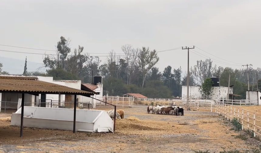 ¿Cuáles son las propiedades y negocios del Charro de Huentitán?