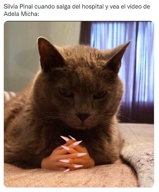 Tunden a Adela Micha con memes