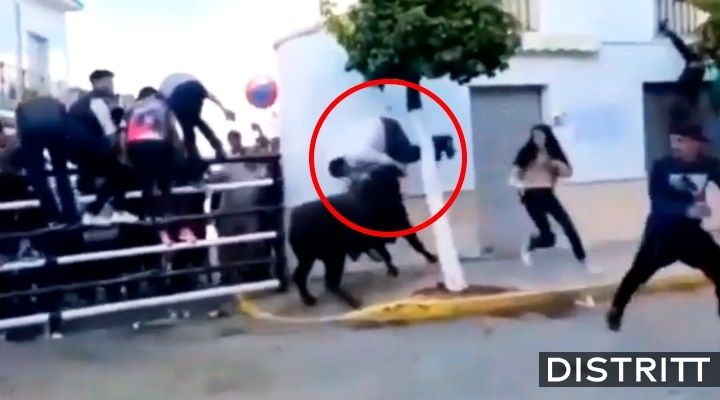 Hombre muere tras ser embestido por toro en festival