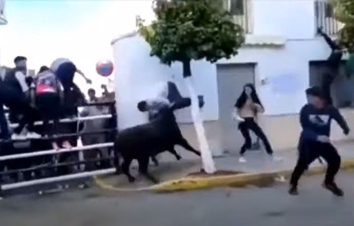 Toro embiste a hombre en festival