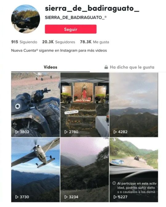 La Chapiza en TikTok. Las redes al servicio del narco