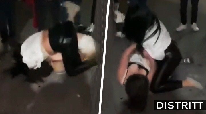Edomex. Captan pelea de mujeres en Toluca |VIDEO