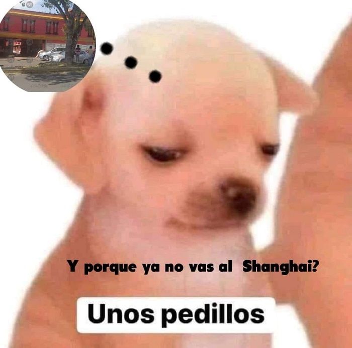 Memes del encuerado del Shanghai