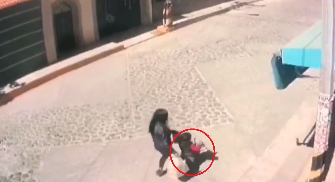 Edomex. Perros atacan a niña en Melchor Ocampo |VIDEO