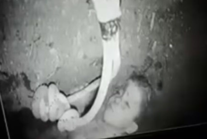 Rayan. Extraen sin vida a niño que cayó en pozo