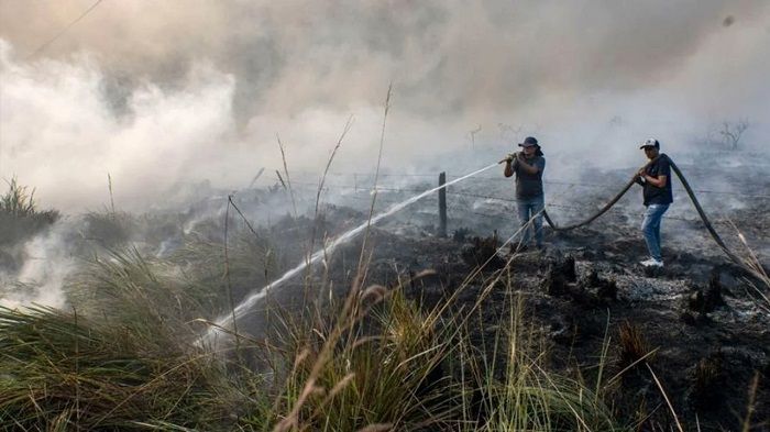 Ola de calor en México 2022
