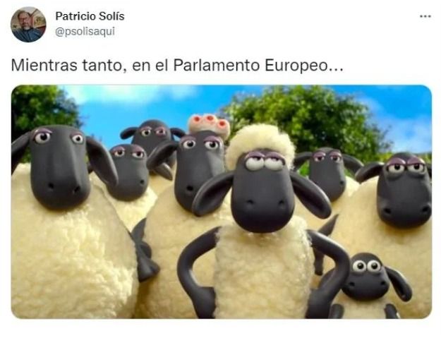 Los memes a la carta de AMLO al Parlamento Europeo