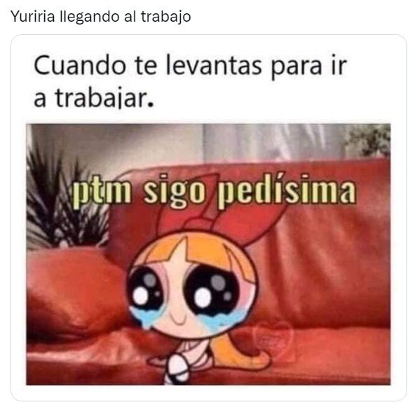 Memes de Yuriria Sierra borracha 