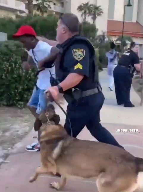 Video de perro atacando a policía se hace viral