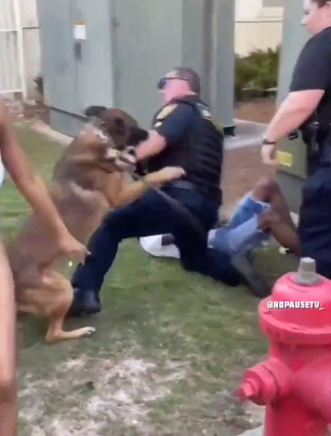 Video de perro atacando a policía se hace viral