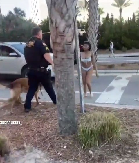 Perro policía ataca a oficial por taclear a joven |VIDEO